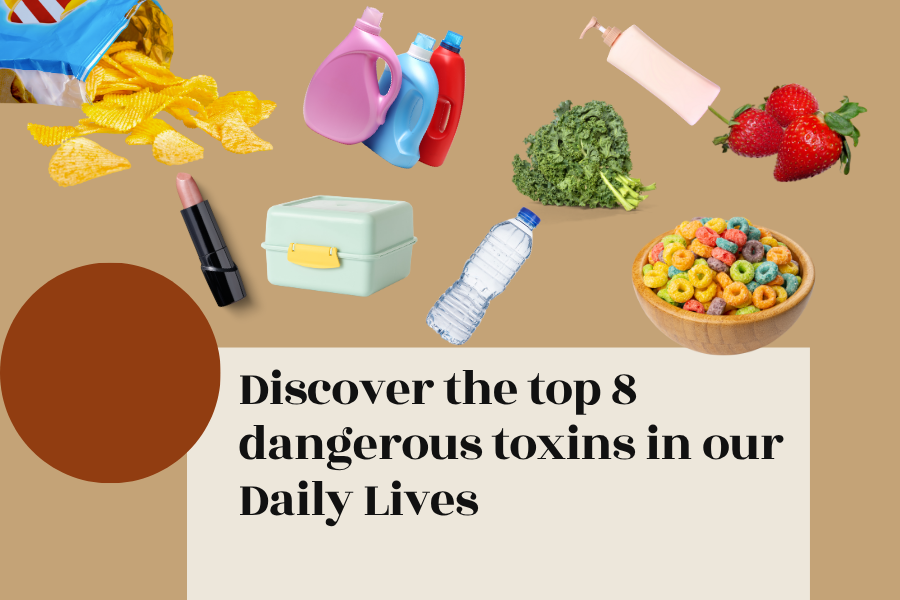 top 8 toxins in your daily lives