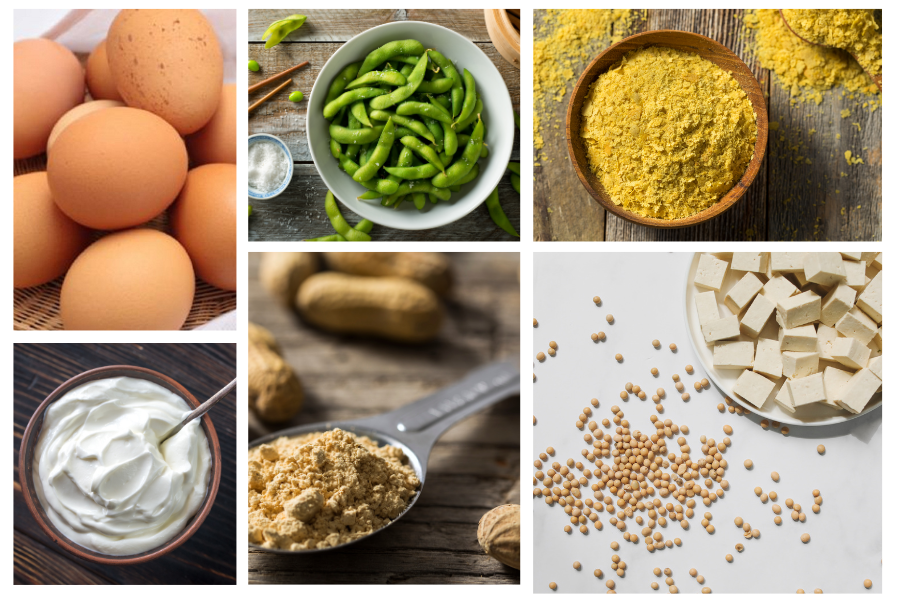 High Protein Vegetarian Foods - Low Carb High protein