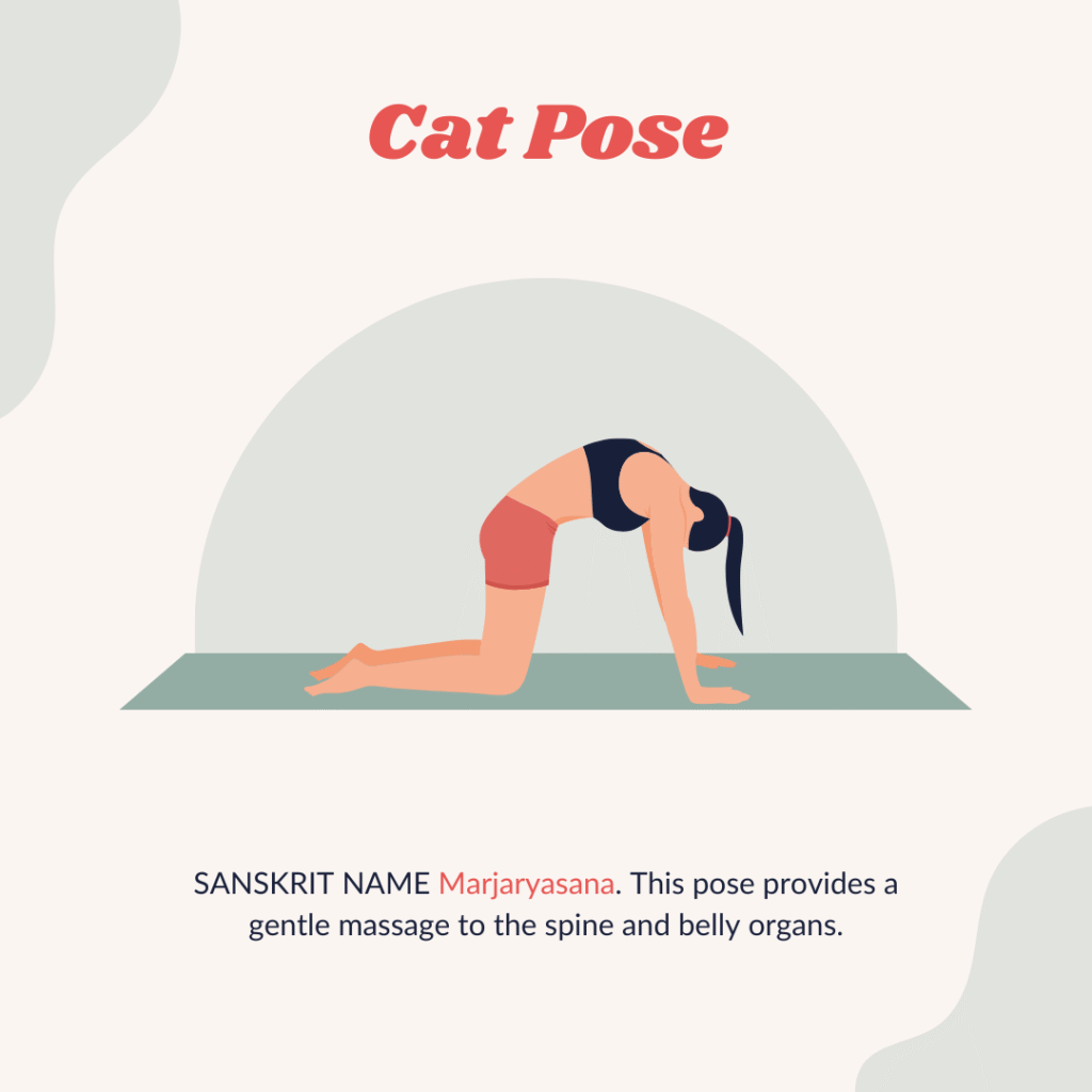 yoga for lower back pain: cat pose