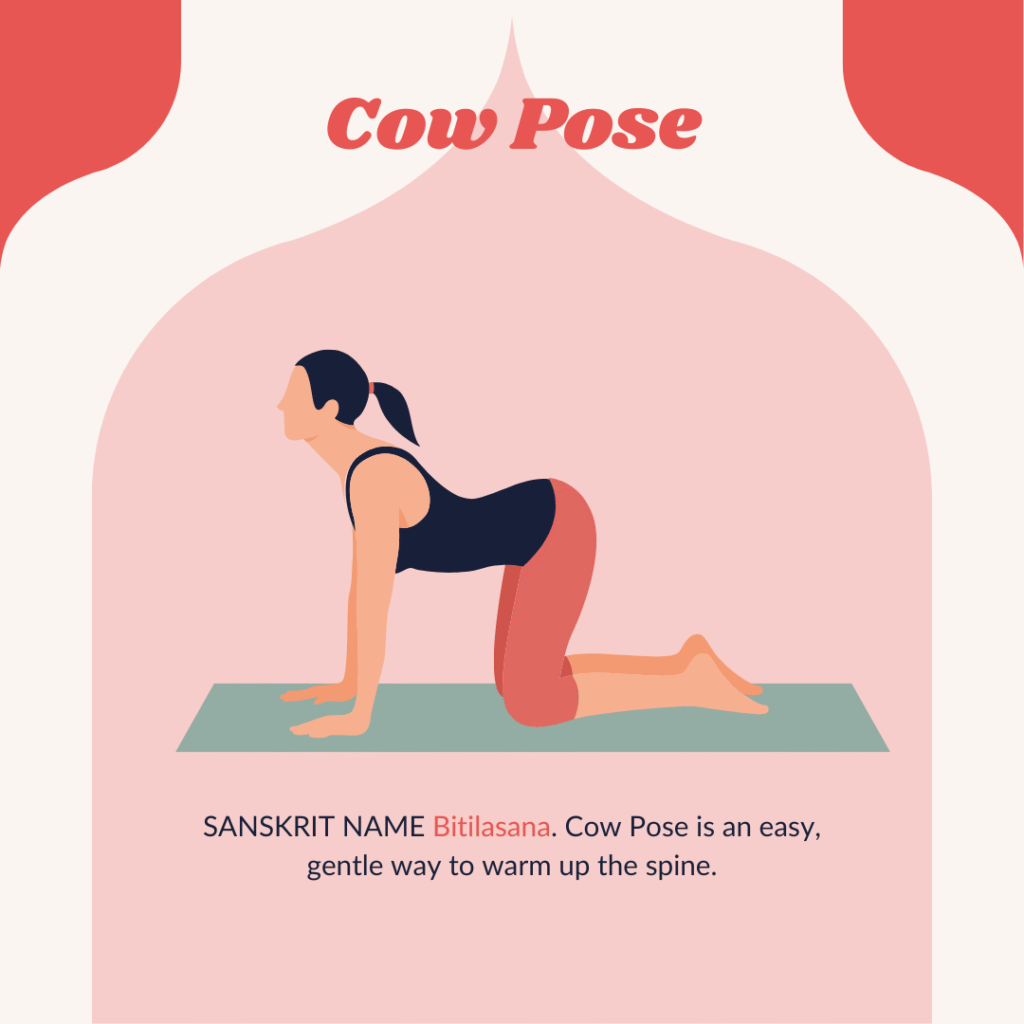 Cow Pose Yoga