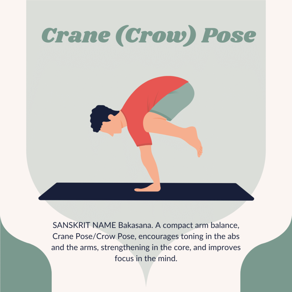Crow pose - yoga pose
