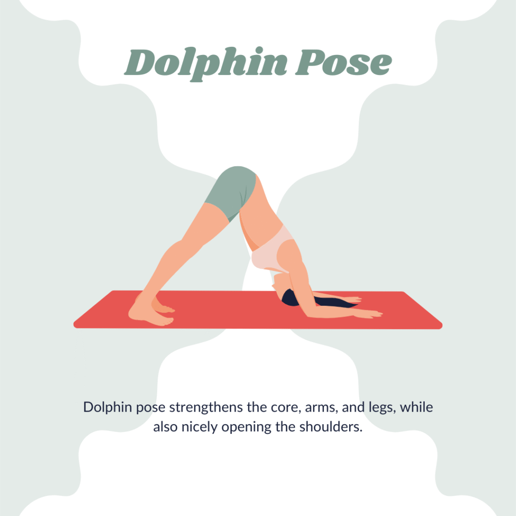 yoga pose - dolphin pose
