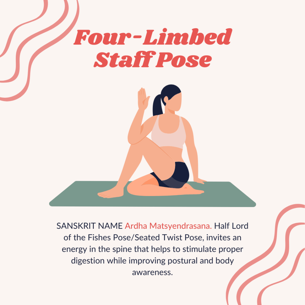 seated spinal twist pose yoga pose