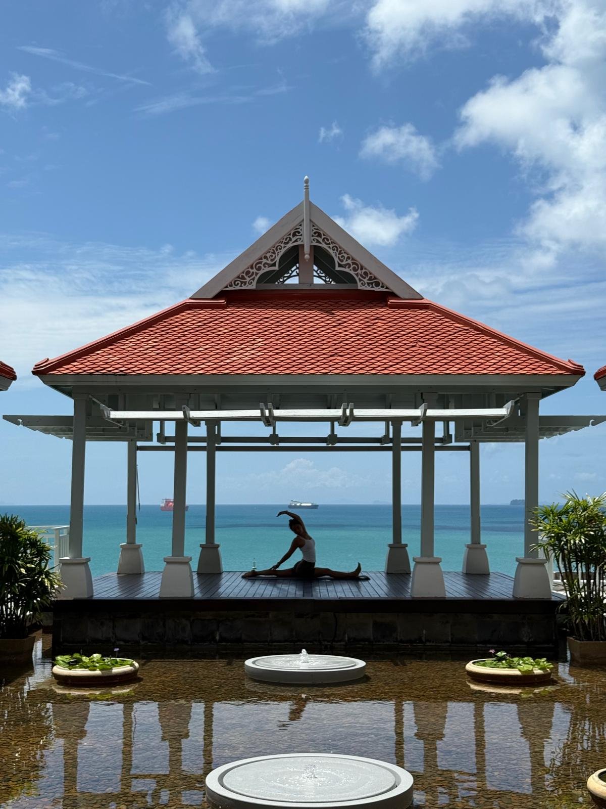 The Health and Wellness Club