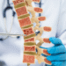 Osteopenia and Bone Health How to Rebuild Bone Density